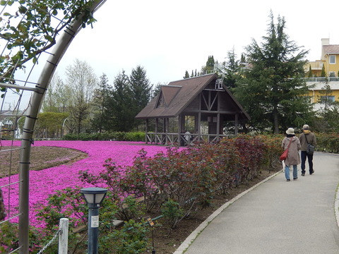 DSCN0336