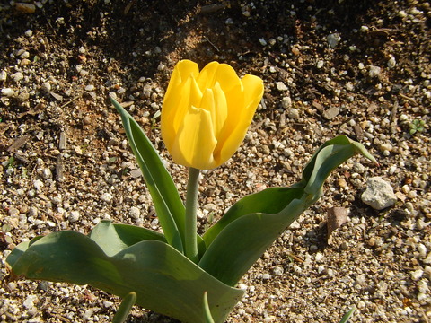 DSCN9913