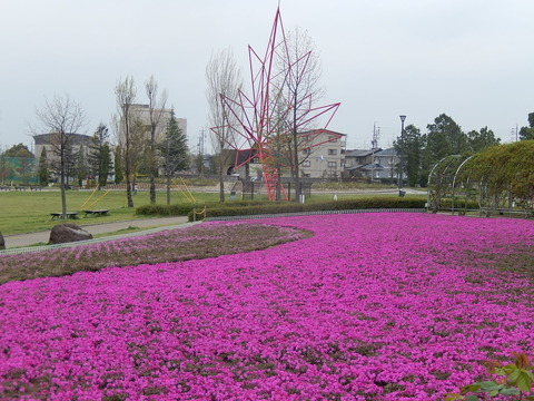 DSCN0335