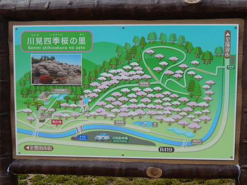 DSCN9171