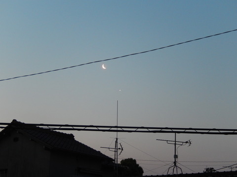 DSCN1274