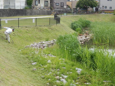 DSCN0197