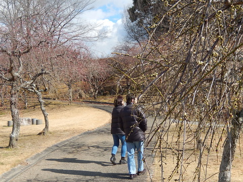 DSCN0685