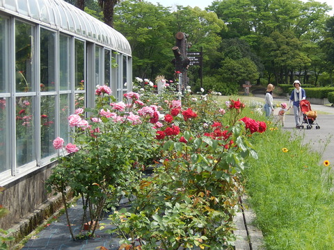 DSCN2091