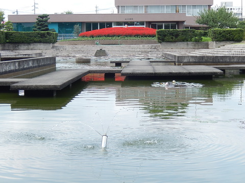 DSCN5776