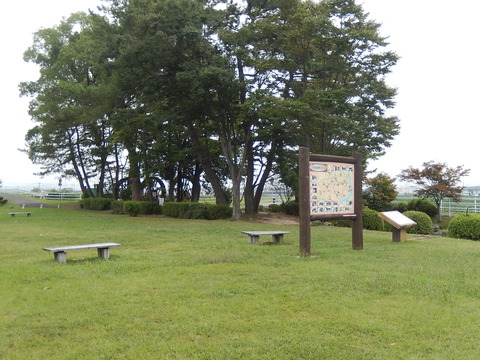 DSCN9003