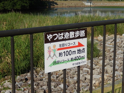 DSCN5220