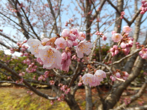 DSCN8839