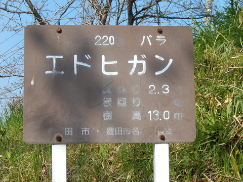 DSCN1853