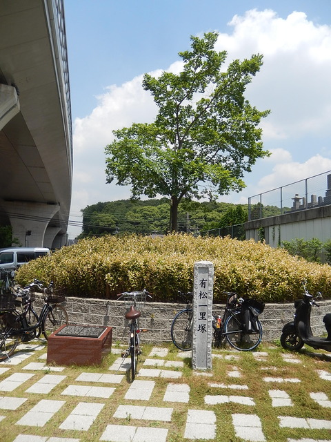 DSCN4068