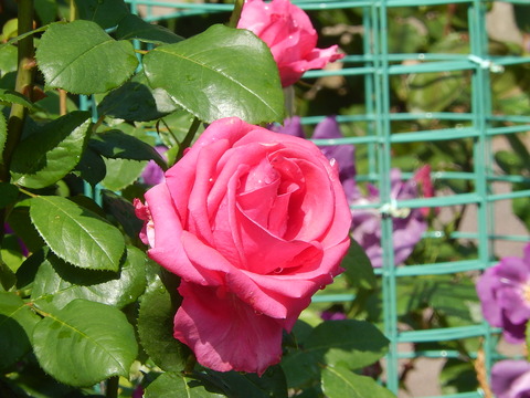 DSCN1841