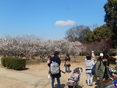 DSCN1659