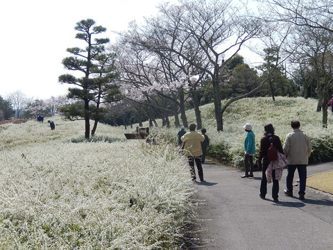 DSCN9844