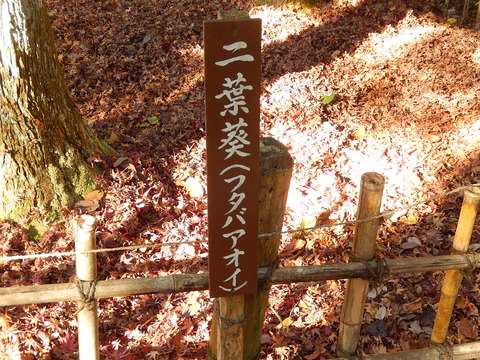 DSCN9777