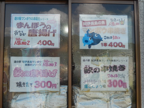 DSCN8527