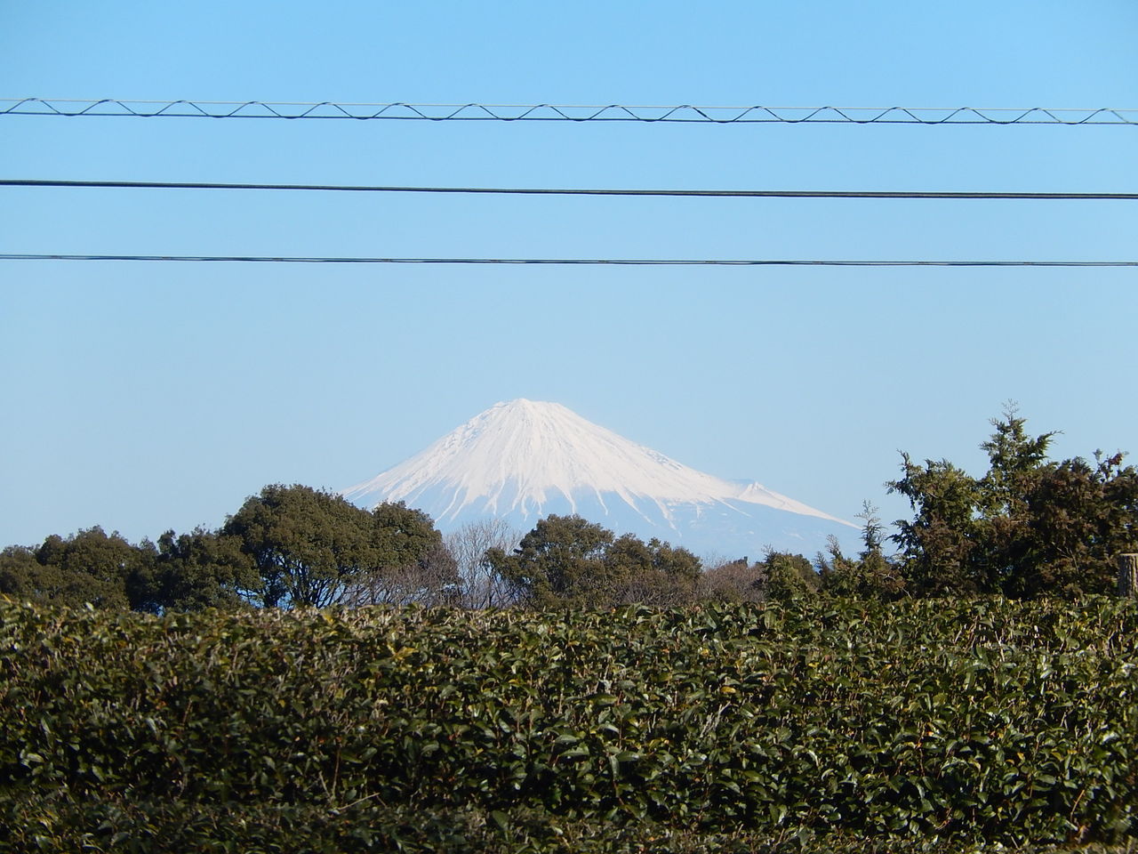 静岡市の三保の松原からの富士山 やつば池散歩道 豊田市 のブログ 静岡市の三保の松原からの富士山 やつば池散歩道 豊田市 のブログ