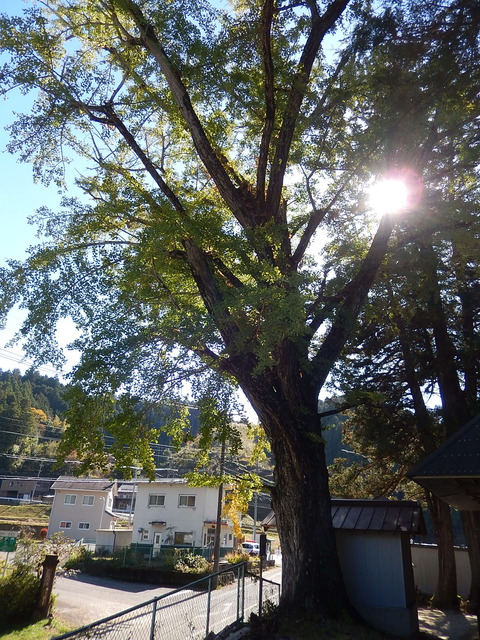 DSCN9189