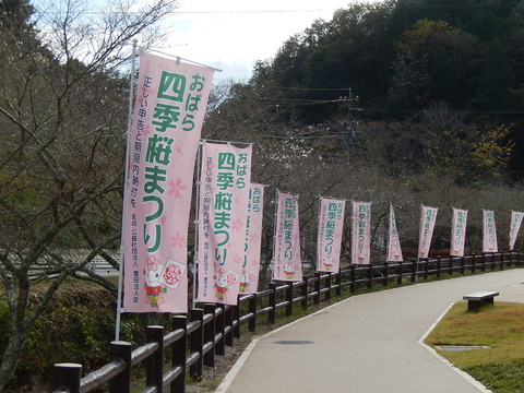 DSCN9169