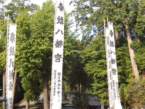 DSCN7560