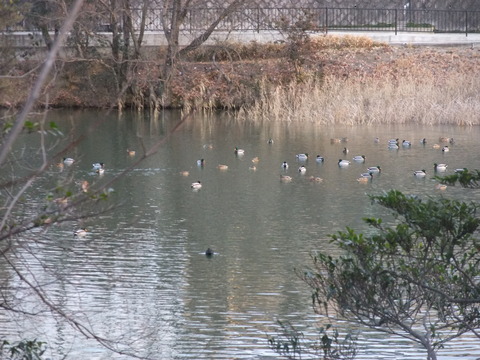 DSCF0164