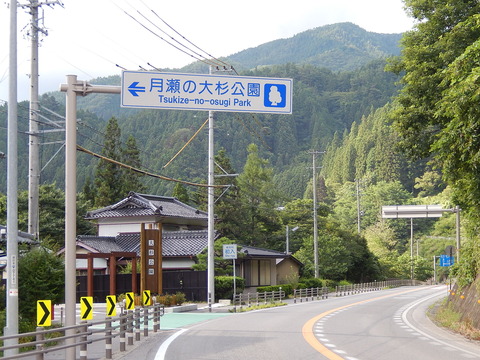 DSCN5121