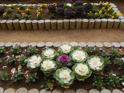 DSCN8700