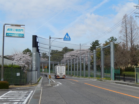 DSCN0336
