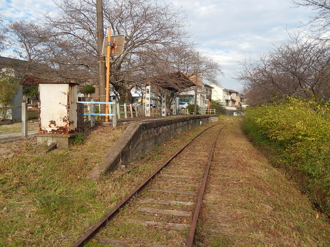 DSCN7557