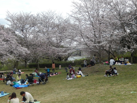 DSCN2486