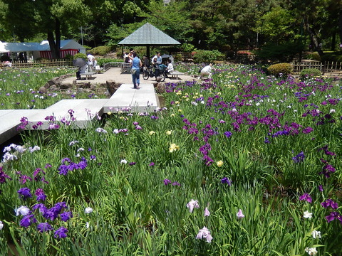 DSCN9681