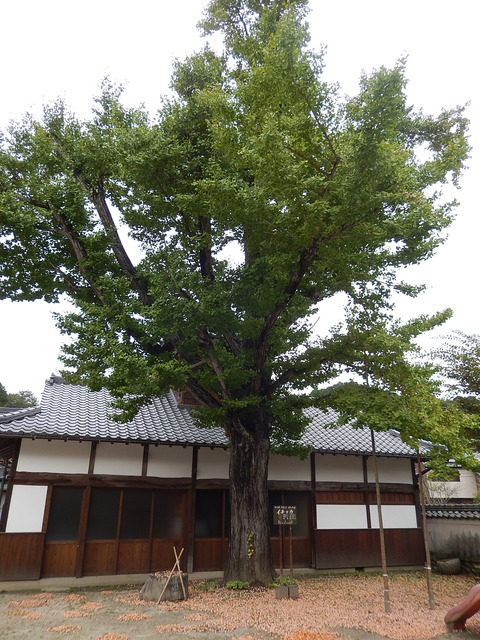 DSCN9904