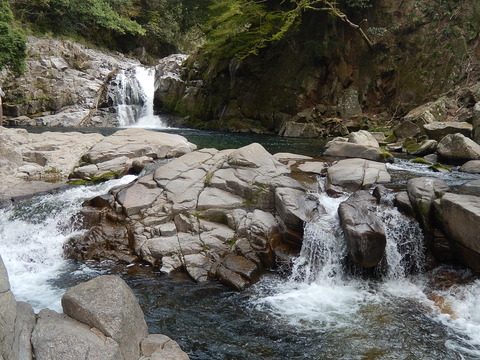 DSCN2379