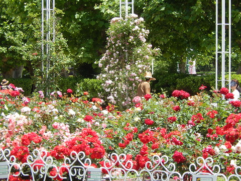DSCN9661
