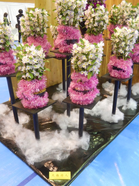 DSCN0295