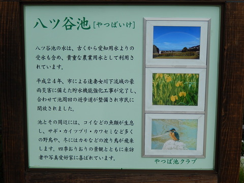 DSCN2666