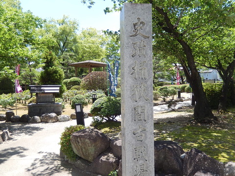 DSCN2981