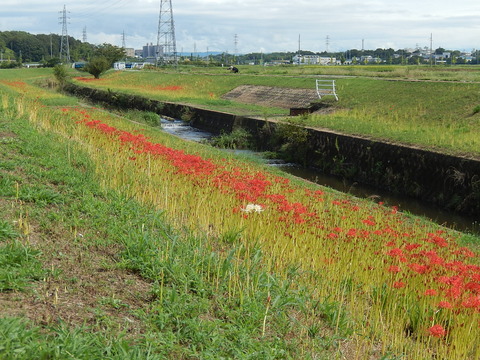 DSCN8372