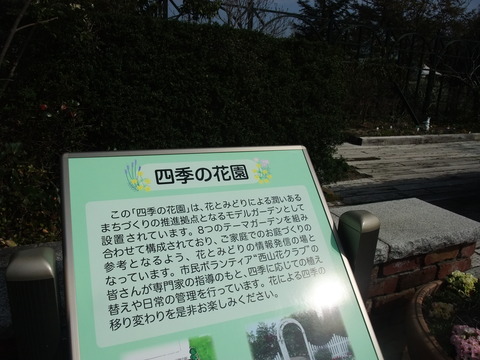 DSCF0065