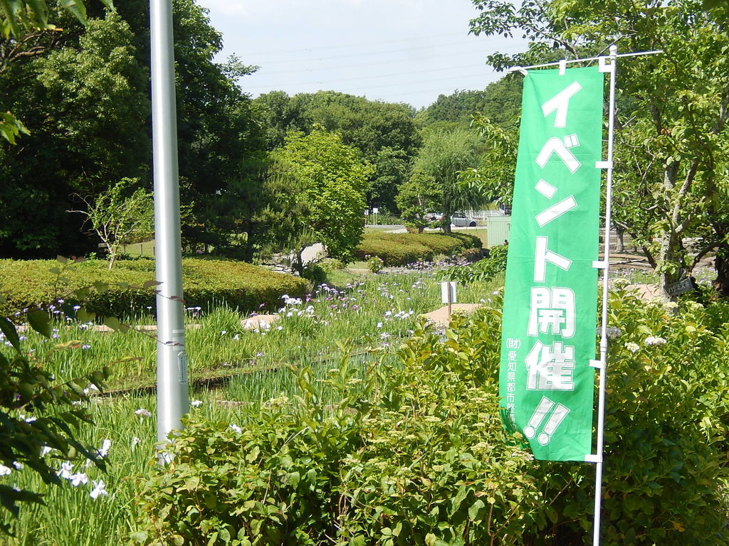 名古屋市緑区 大高緑地の花しょうぶ園 やつば池散歩道 豊田市 のブログ