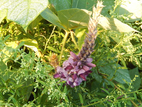DSCN6112