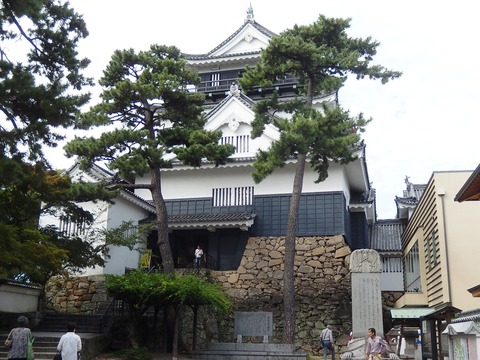 DSCN8374