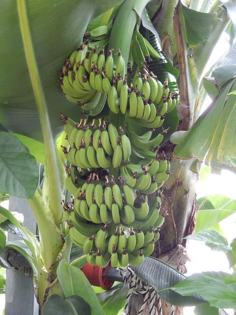 DSCN5632