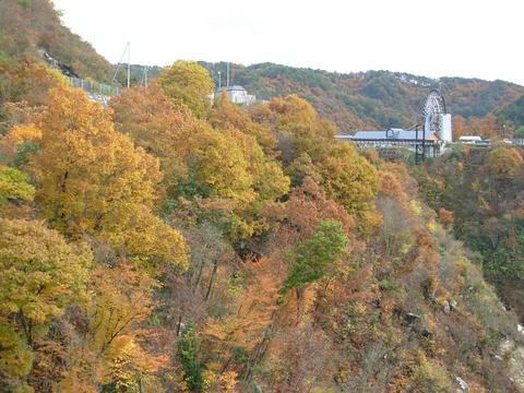 DSCN7573
