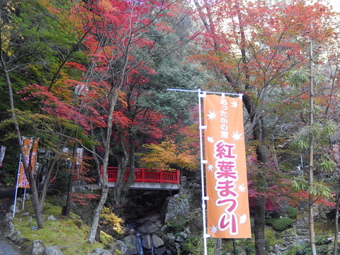 DSCN9283
