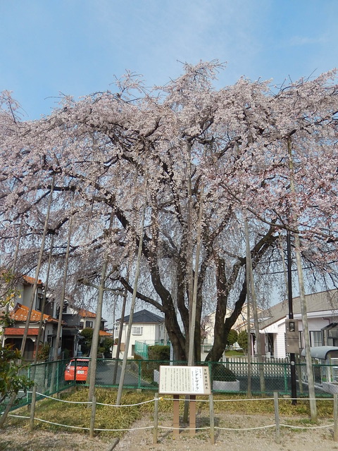 DSCN2368