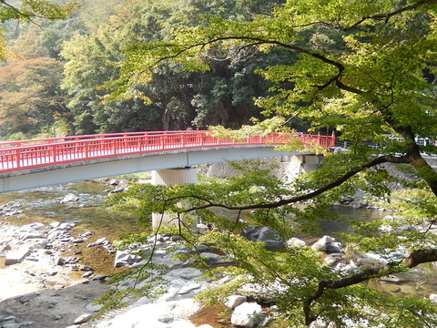 DSCN7293