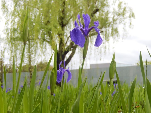 DSCN3445