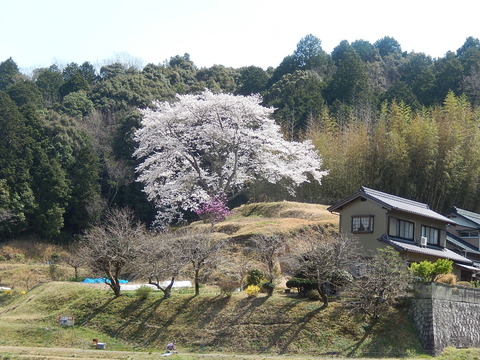 DSCN2173