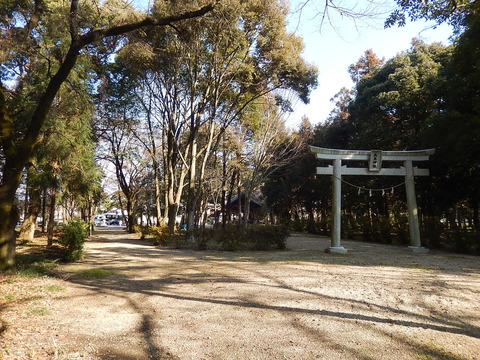 DSCN9426