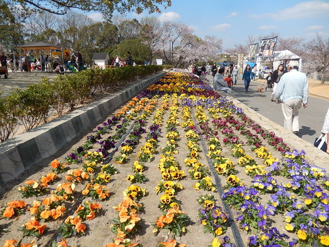 DSCN2801
